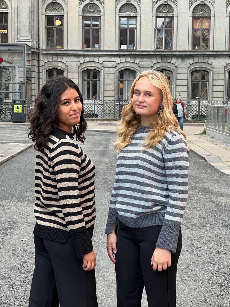 Paulina knit - grey